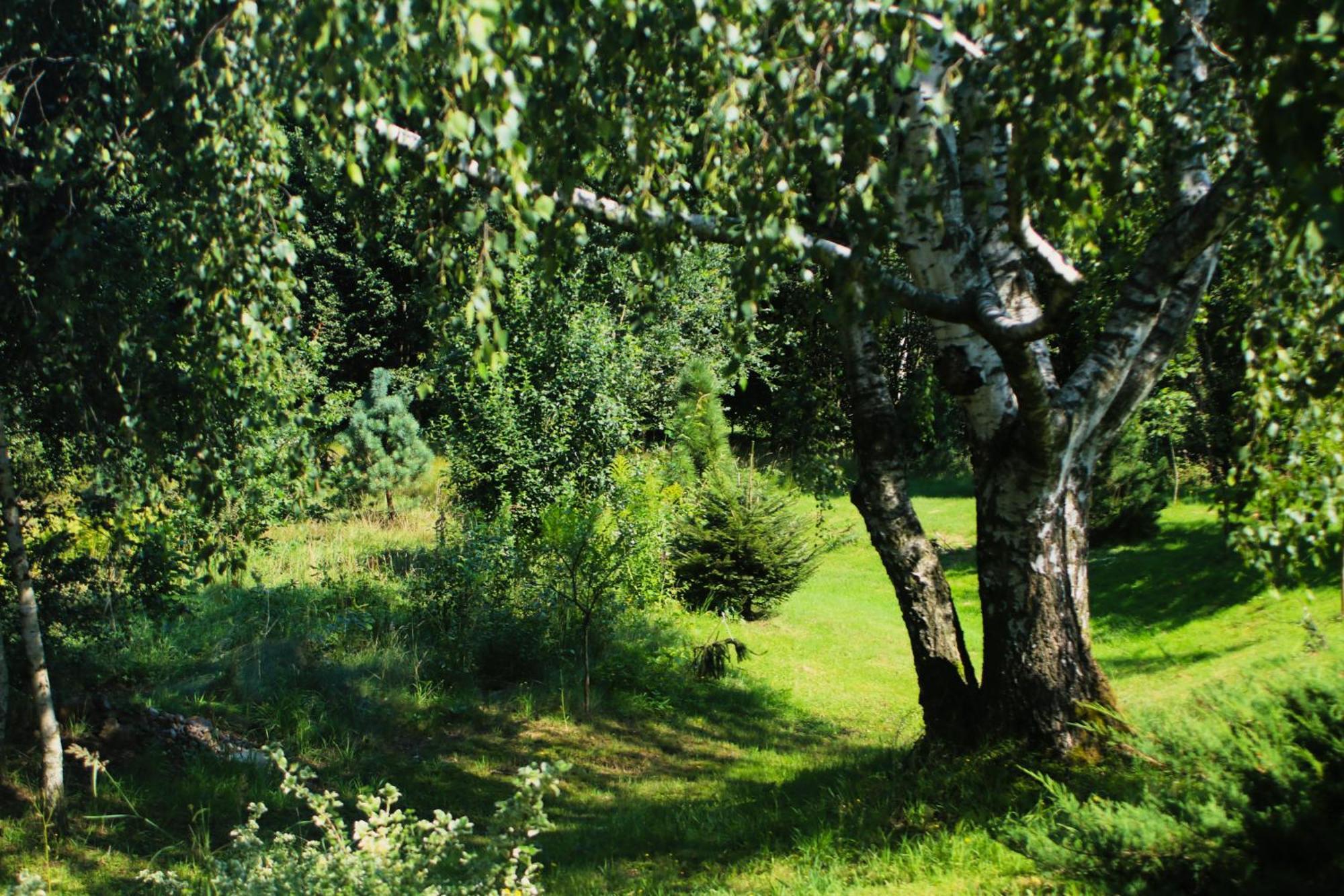 Gospodarstwo Agroturystyczne Powierzowka Lesna Exterior photo