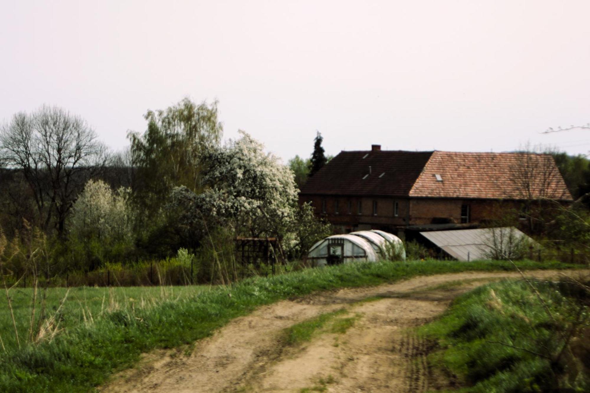 Gospodarstwo Agroturystyczne Powierzowka Lesna Exterior photo