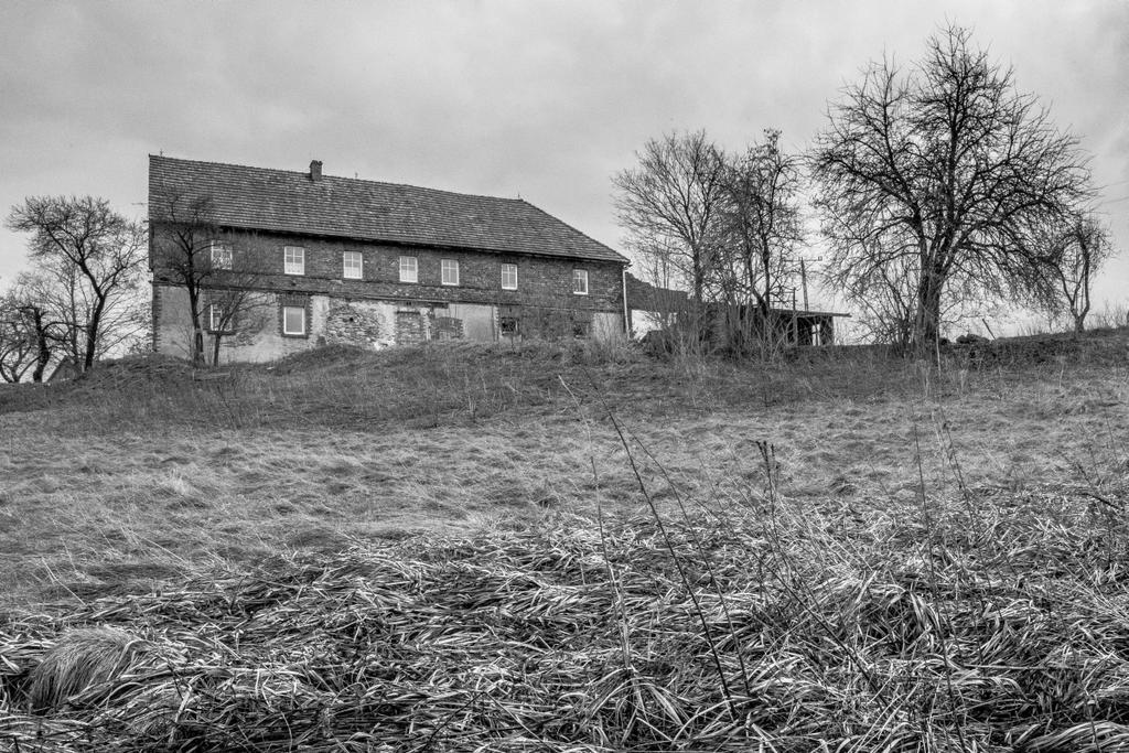 Gospodarstwo Agroturystyczne Powierzowka Lesna Exterior photo